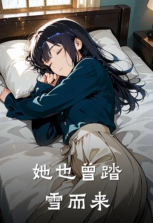 她也曾踏雪而来（阮清歌沈晏舟）全文免费阅读无弹窗大结局_她也曾踏雪而来最新章节列表_笔趣阁（阮清歌沈晏舟）